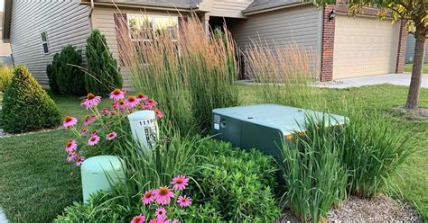 block view of electrical boxes in yard|landscaping to hide utility box.